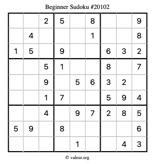 Beginner Sudoku Puzzle 20102