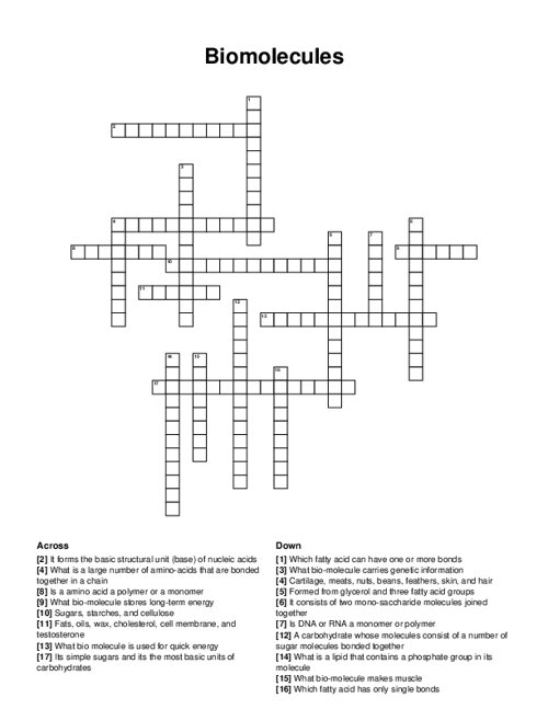 Biomolecules Crossword Puzzle Biomolecules Crossword Puzzle