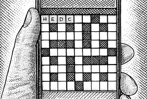 Brink WSJ Crossword Clue