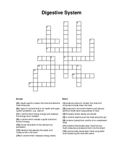 Digestive System Crossword Puzzle