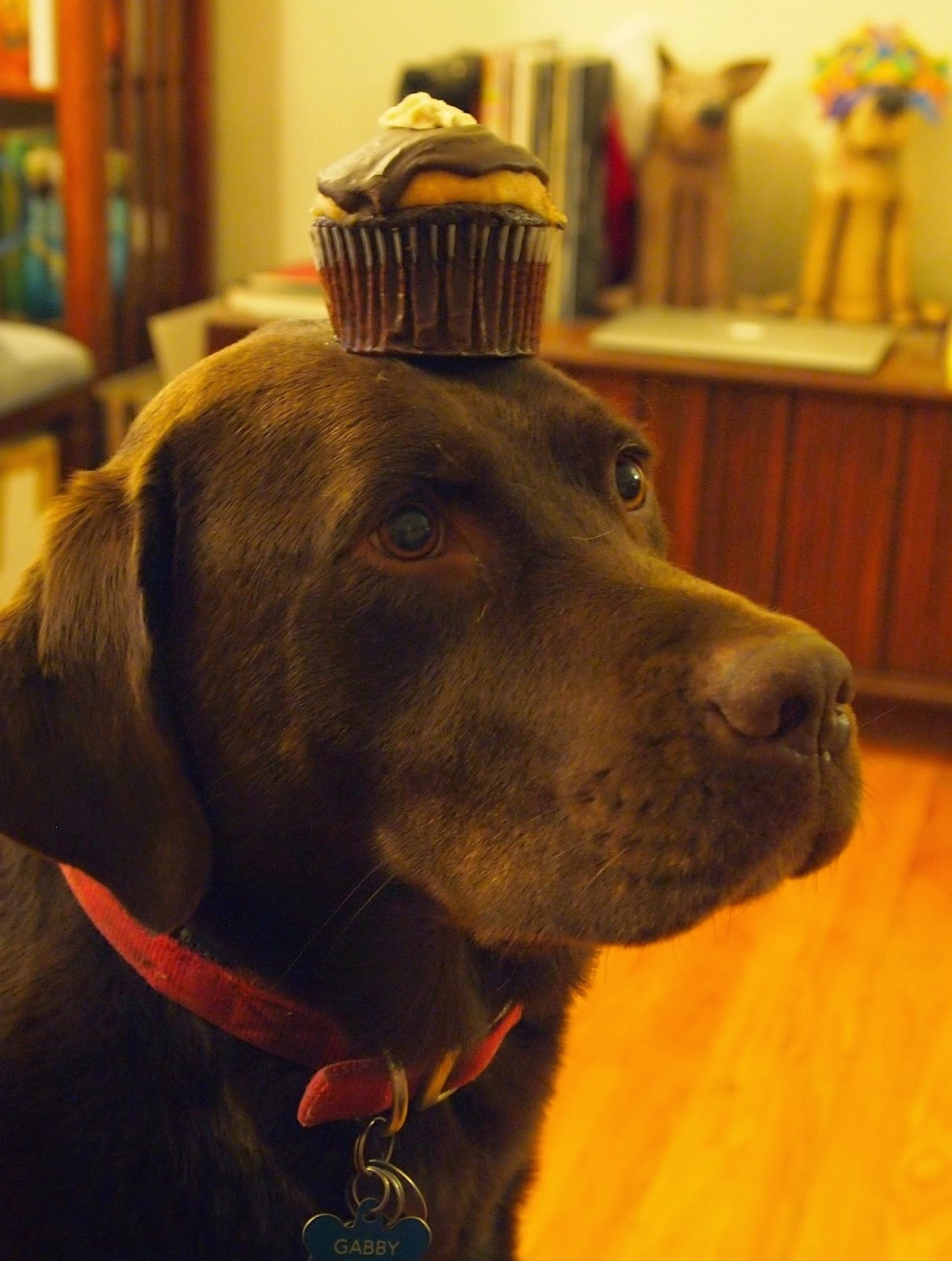 Parker Nyt Crossword Parker Nyt Crossword