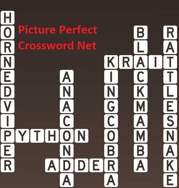 Snakes Picture Perfect Crossword